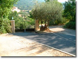 Back gate and driveway